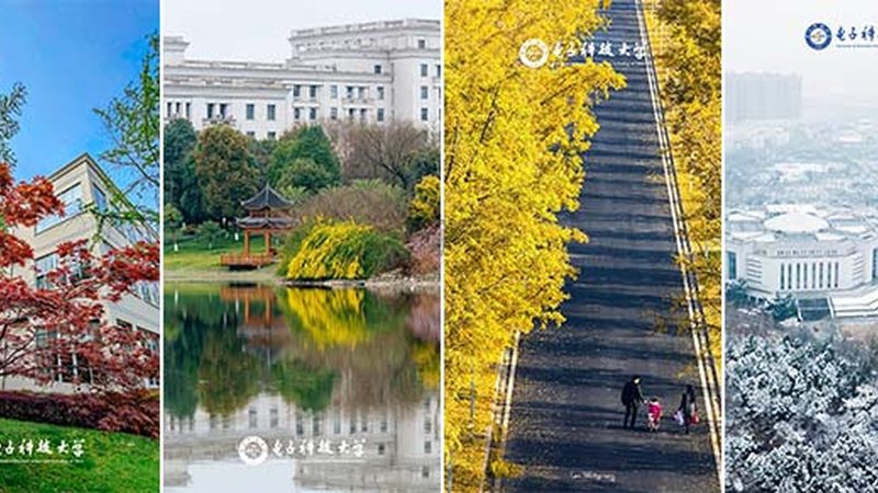 电子产品采购，如何规避价格陷阱？**