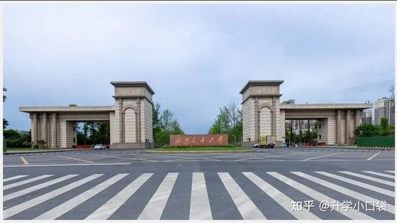 贴片插件与插件哪个更划算？揭秘成本背后的秘密